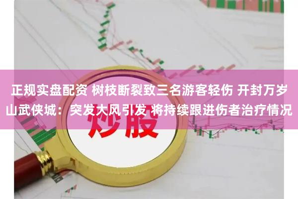 正规实盘配资 树枝断裂致三名游客轻伤 开封万岁山武侠城：突发大风引发 将持续跟进伤者治疗情况
