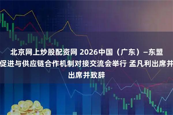 北京网上炒股配资网 2026中国（广东）—东盟贸易促进与供应链合作机制对接交流会举行 孟凡利出席并致辞